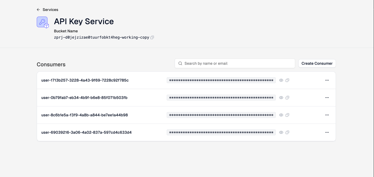 API key section