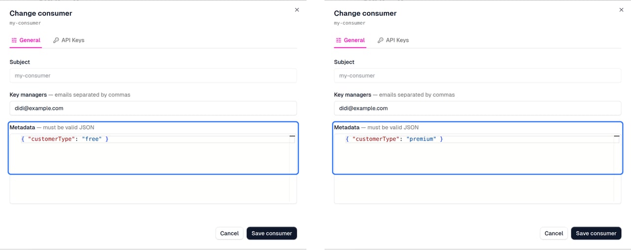Customer Metadata