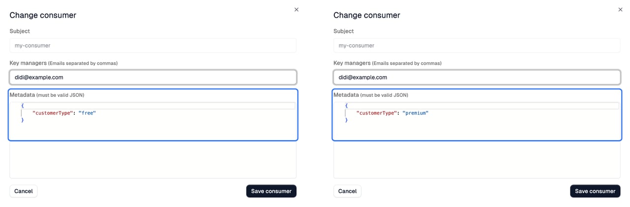 Customer Metadata