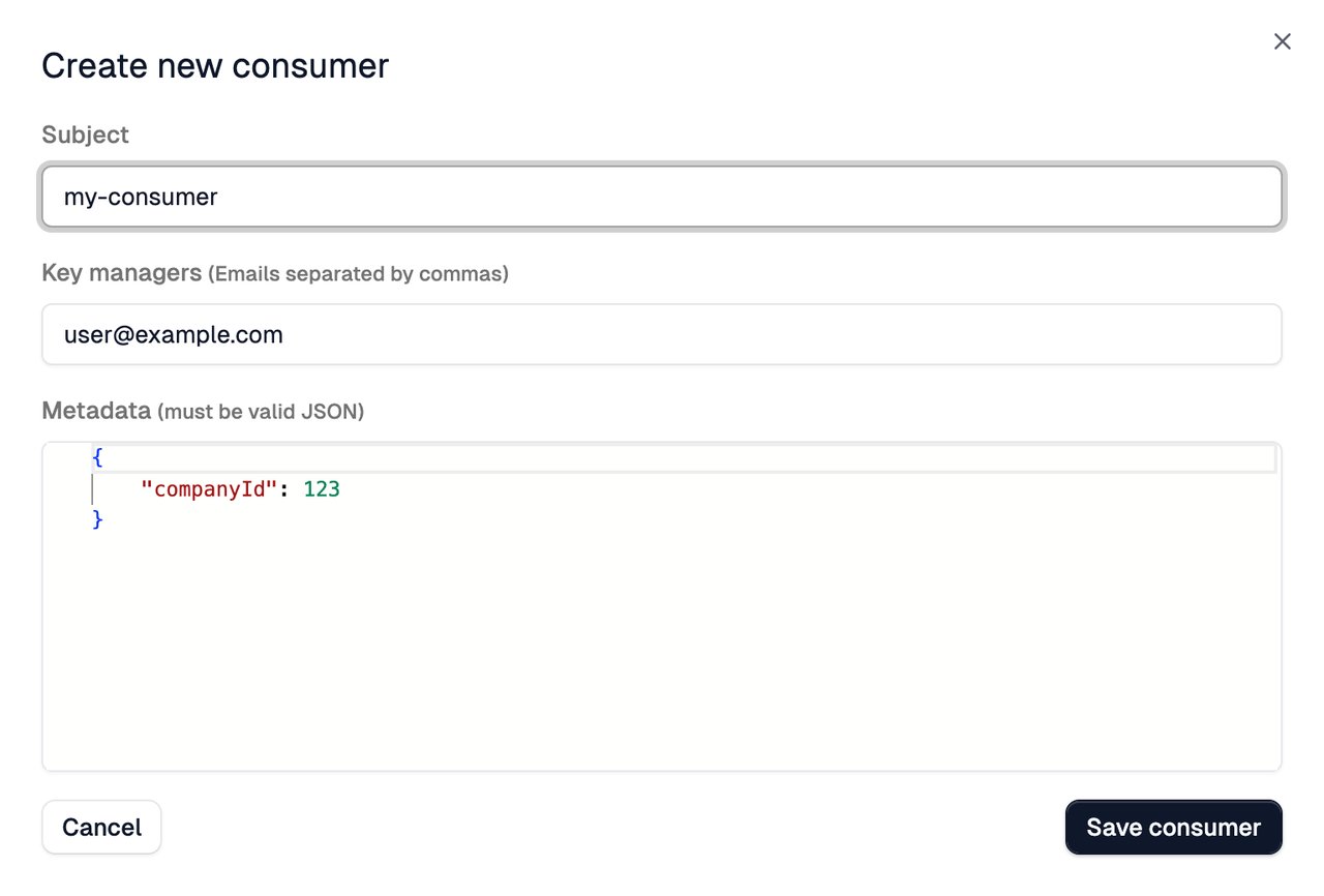 New API Key Consumer