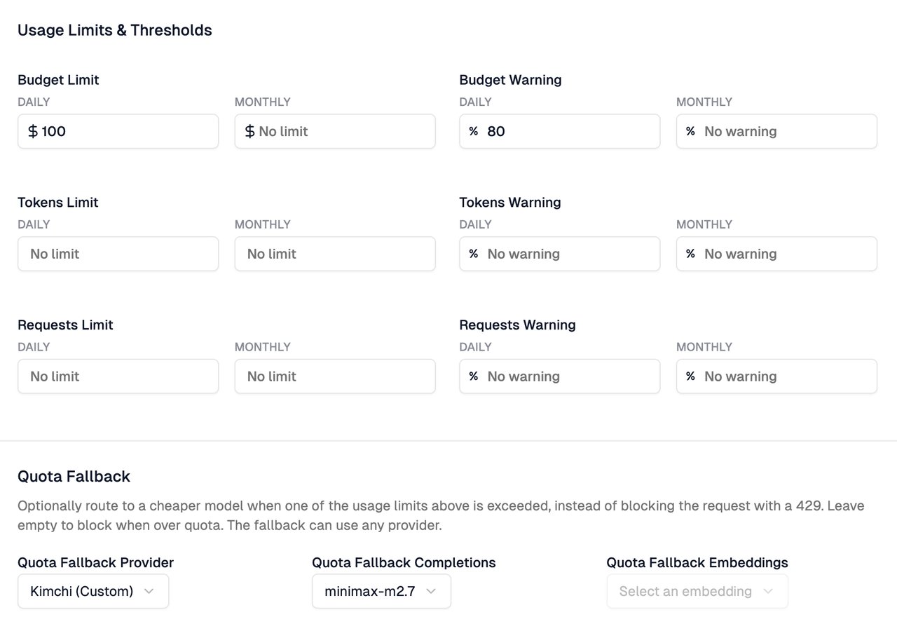 The Quota Fallback section of the app Settings tab, below Usage Limits & Thresholds, showing the Quota Fallback Provider, Quota Fallback Completions, and Quota Fallback Embeddings fields