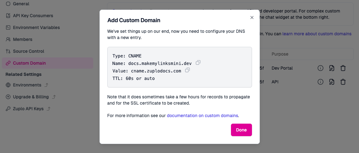 Custom domain setup
